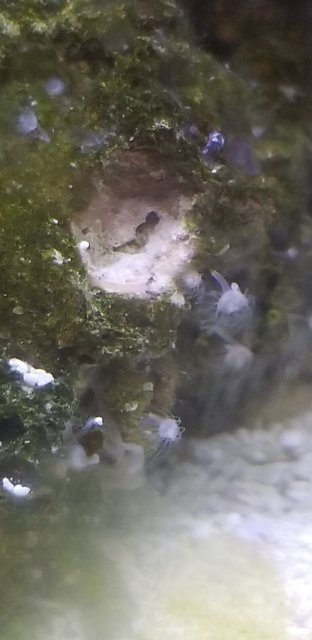 20211103_185225.jpg