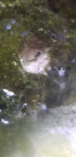20211103_185222.jpg
