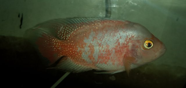 20211105_171448.jpg 20211105_171448.jpg