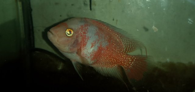 20211105_171503.jpg 20211105_171503.jpg