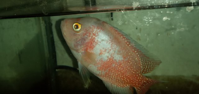 20211105_171500.jpg 20211105_171500.jpg