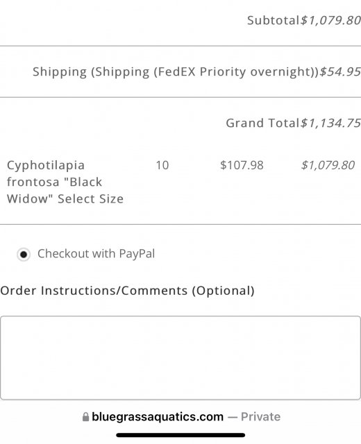 3592CD61-A99A-47F7-8F8E-CF450275F6D2.jpeg 3592CD61-A99A-47F7-8F8E-CF450275F6D2.jpeg