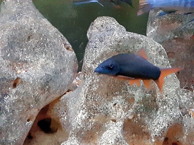 20211106_064215.jpg
