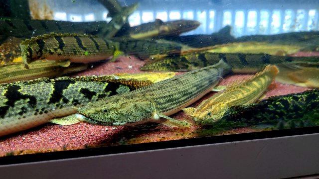 KakaoTalk_20211107_133818109_02.jpg