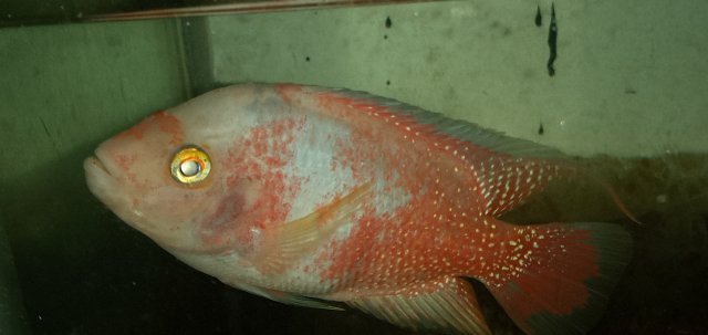 20211108_232618.jpg 20211108_232618.jpg