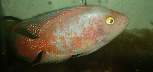 20211108_232554.jpg 20211108_232554.jpg