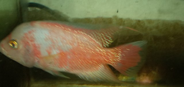 20211108_232546.jpg 20211108_232546.jpg