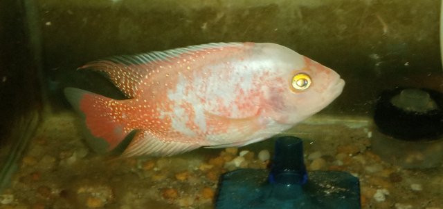 20211108_232424.jpg 20211108_232424.jpg