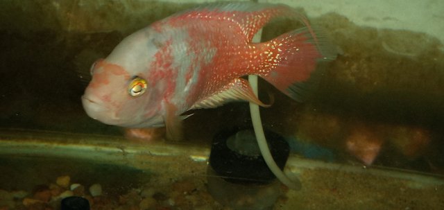 20211108_232412.jpg 20211108_232412.jpg