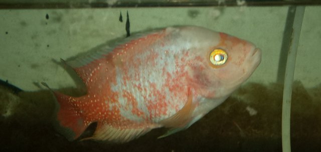 20211108_232351.jpg 20211108_232351.jpg