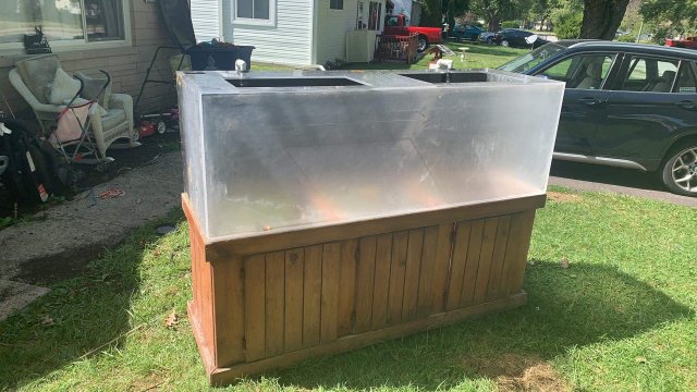 received_763240264691441.jpeg received_763240264691441.jpeg