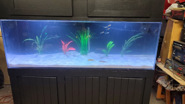 20211025_124302.jpg 20211025_124302.jpg