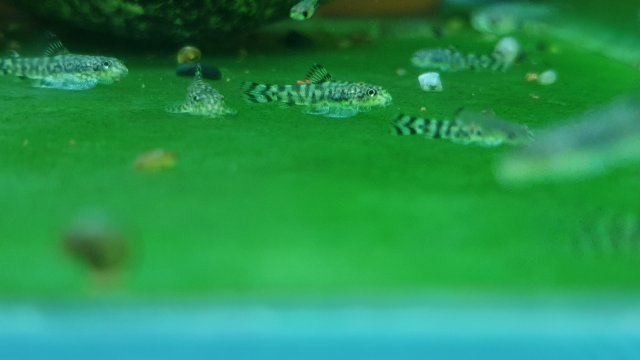 20211106_222037.jpg