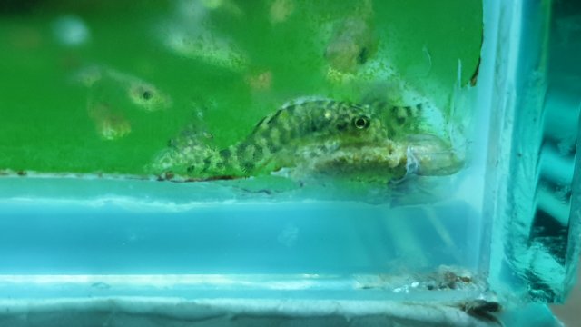 20211106_222043.jpg