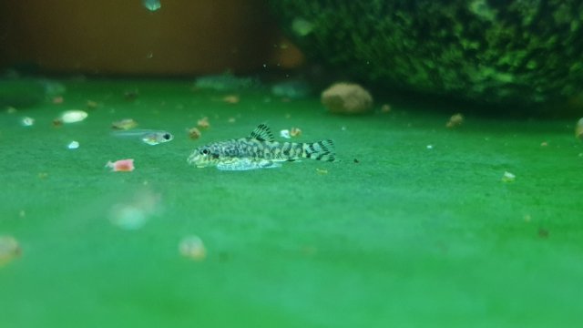 20211106_222104.jpg