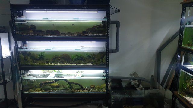 20211106_222338.jpg