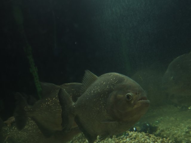 IMG_20211108_180130.jpg
