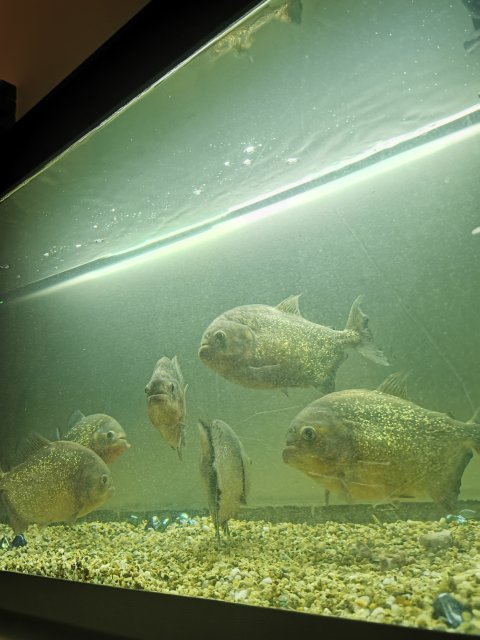 IMG_20211108_175837.jpg