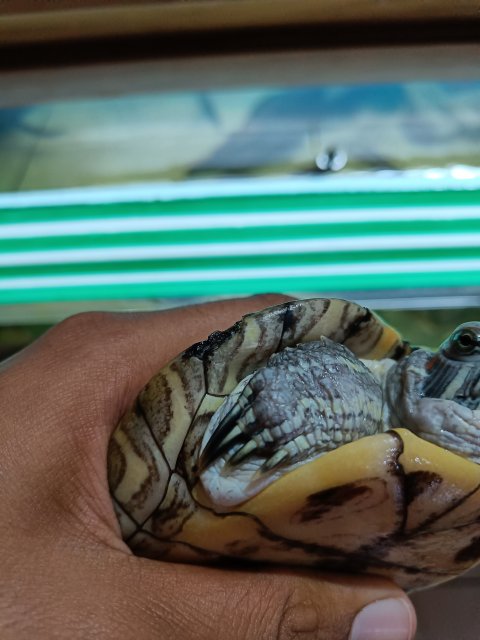 IMG20211110190324.jpg