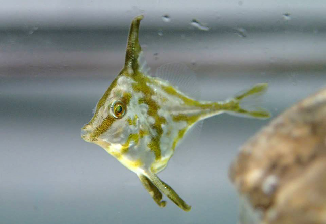 1636581944764.png 1636581944764.png