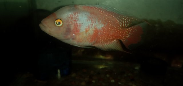 20211112_233322.jpg 20211112_233322.jpg