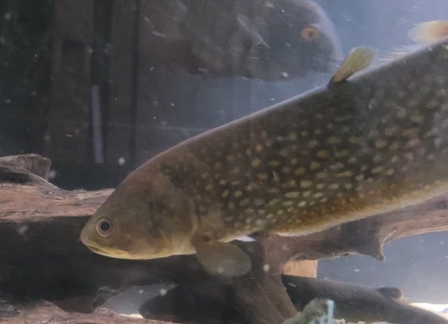 20211114_120133.jpg 20211114_120133.jpg