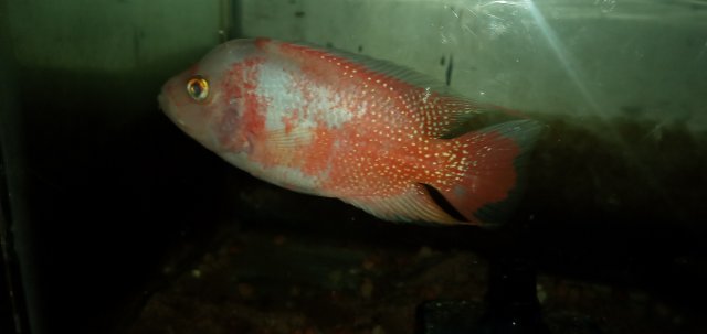 20211115_235041.jpg 20211115_235041.jpg