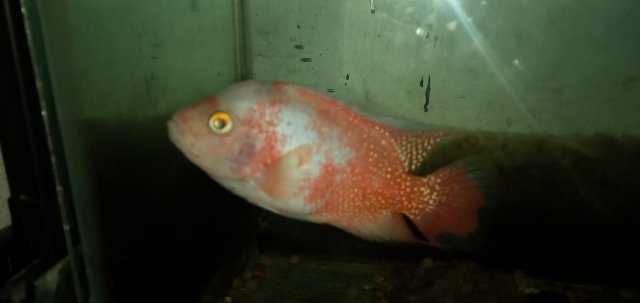 20211115_235018.jpg 20211115_235018.jpg