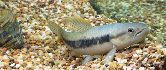 IMG_20211120_164404736_BURST000_COVER.jpg IMG_20211120_164404736_BURST000_COVER.jpg