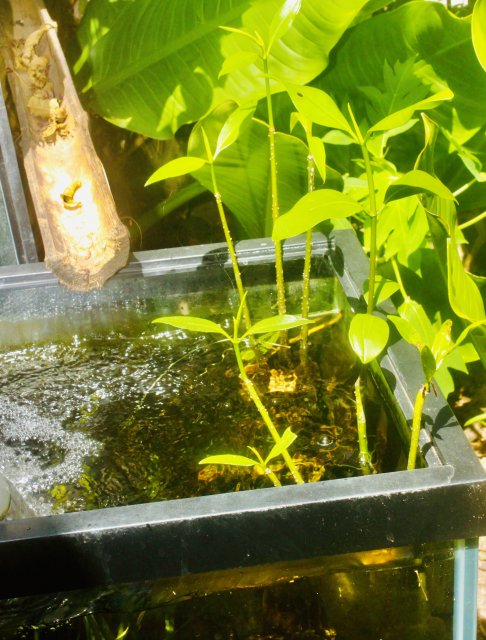 EBDD239F-8C1B-4443-9B58-17EA24852532_1_201_a.jpeg EBDD239F-8C1B-4443-9B58-17EA24852532_1_201_a.jpeg