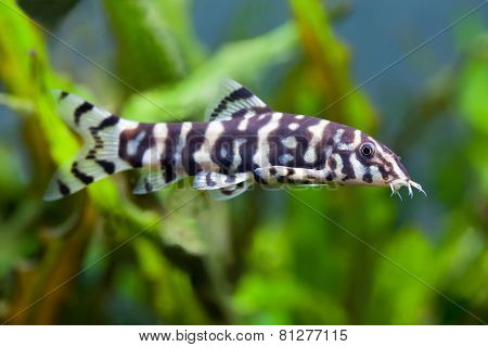 1637622529568.png 1637622529568.png