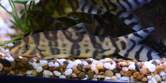 1637622562180.png 1637622562180.png