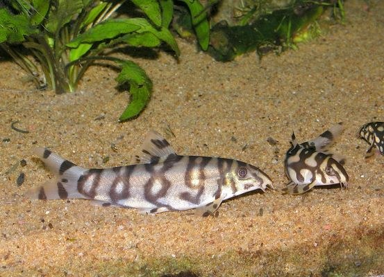 1637622583798.png 1637622583798.png