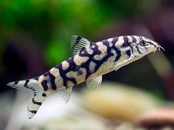 1637622602134.png 1637622602134.png