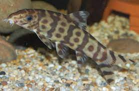 1637622670952.png 1637622670952.png