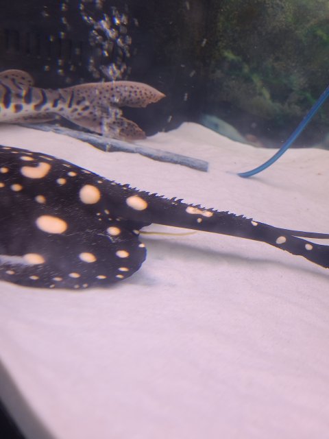 20211126_093057.jpg 20211126_093057.jpg