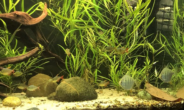 IMG_0101 crop.jpg IMG_0101 crop.jpg