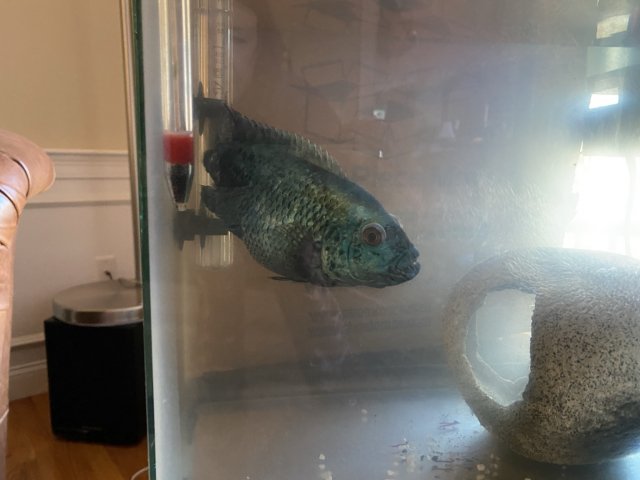 IMG_7362.JPEG IMG_7362.JPEG