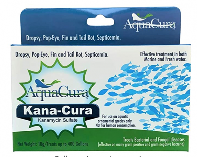 Screen Shot 2021-11-29 at 8.04.36 AM.png Screen Shot 2021-11-29 at 8.04.36 AM.png