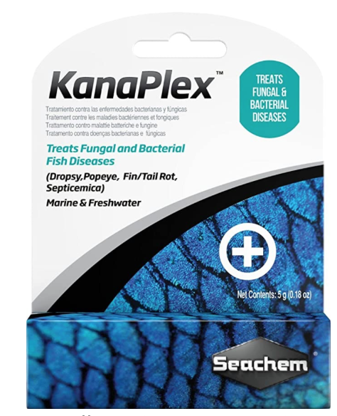 Screen Shot 2021-11-29 at 8.05.00 AM.png Screen Shot 2021-11-29 at 8.05.00 AM.png