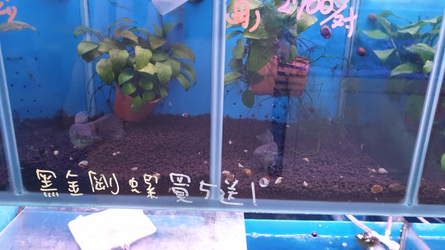 20211015_183305.jpg