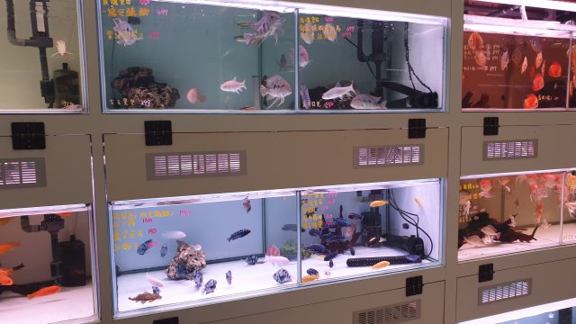 20211015_184335.jpg