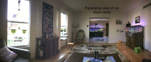 32EF908A-9E0F-48ED-BCCA-163792EDA444.jpeg