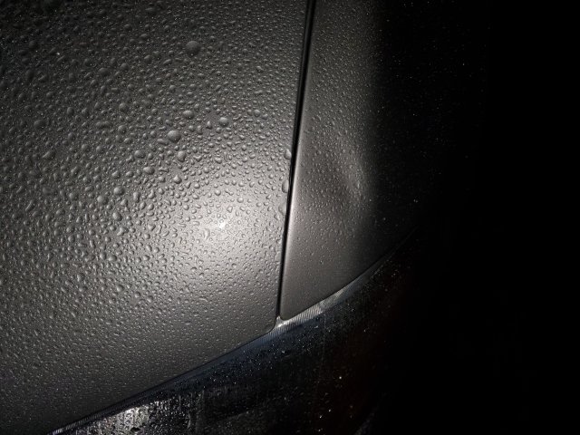20211206_181653.jpg