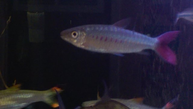 WP_20160722_009.jpg