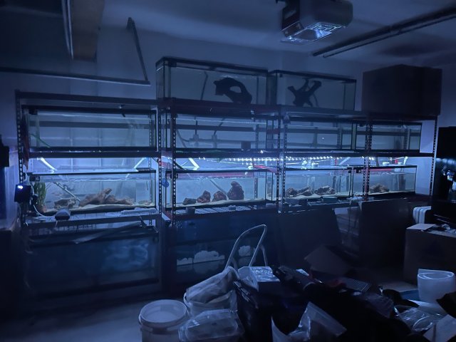 EACD2A91-273D-452A-9DB9-598D82D2A80C.jpeg