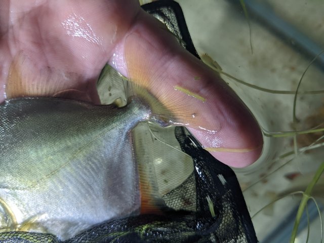 PXL_20211211_183906271.jpg