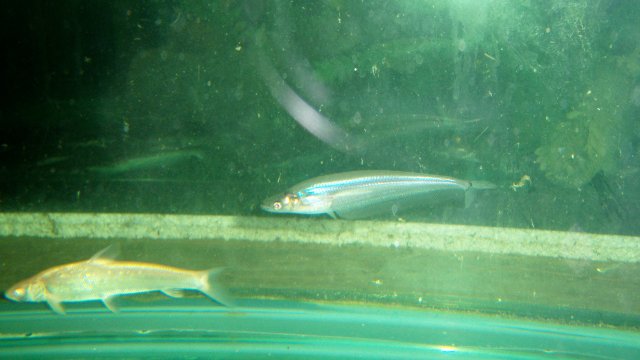 100_0041.JPG 100_0041.JPG