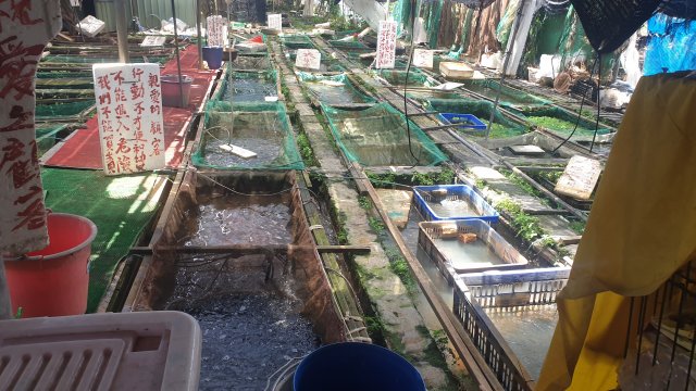 20210509_115524.jpg