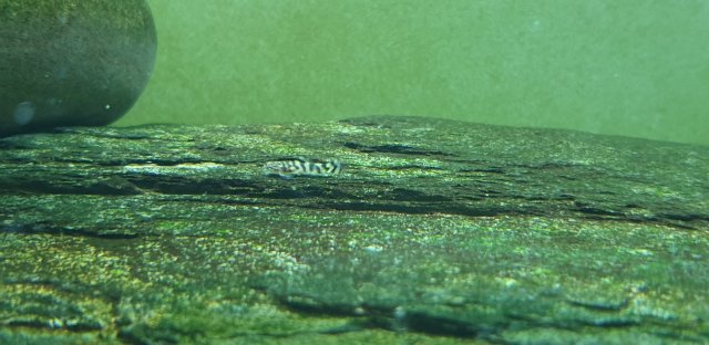 20211213_212234.jpg